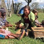 CLAS Supplementary Start-up Funds: Kristin Hedges